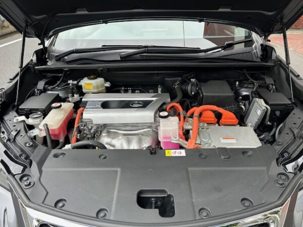 LEXUS NX300h F-SPORT - 画像 (17)