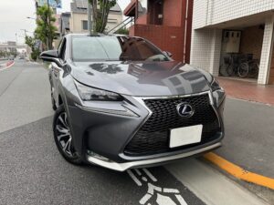 LEXUS NX300h F-SPORT