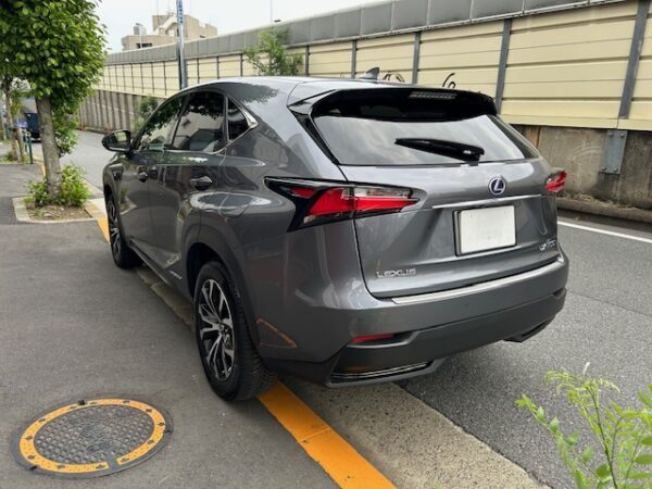 LEXUS NX300h F-SPORT - 画像 (7)