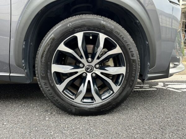 LEXUS NX300h F-SPORT - 画像 (18)