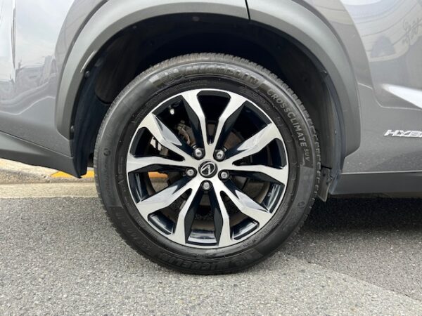 LEXUS NX300h F-SPORT - 画像 (19)